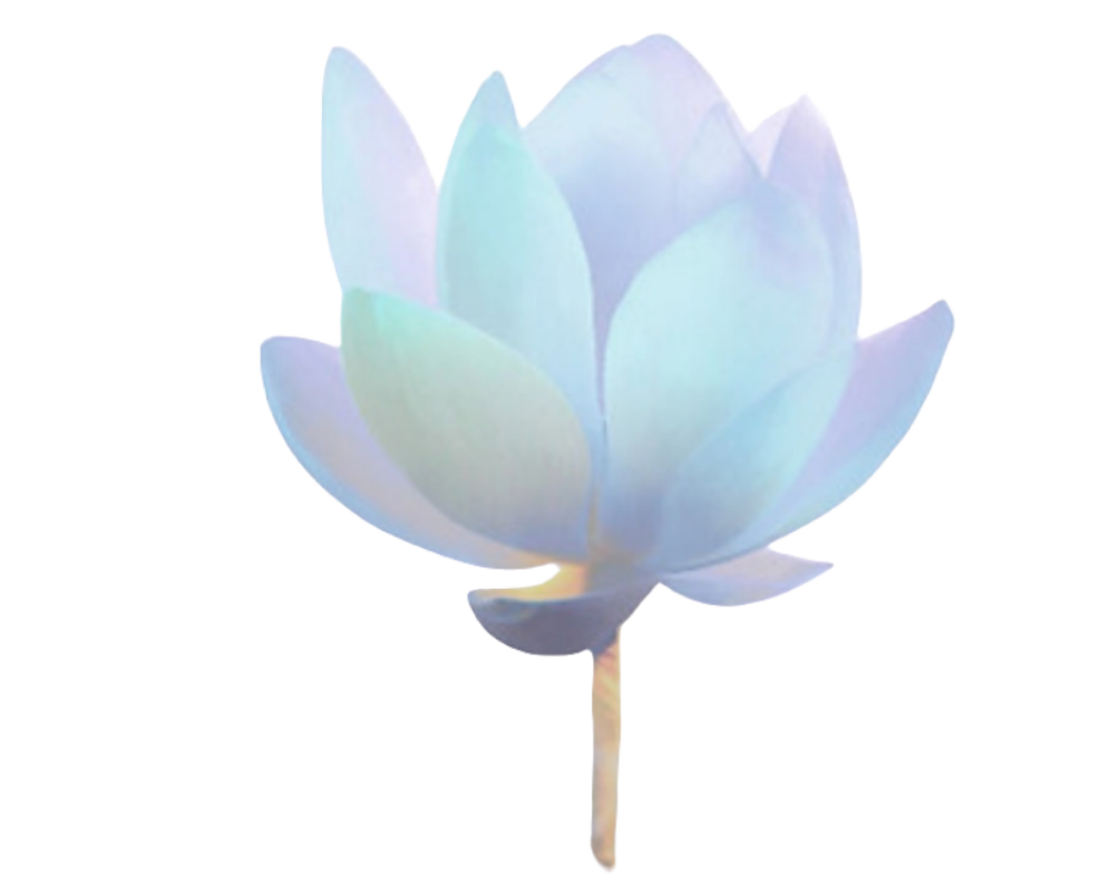 Blue Lotus Perfume